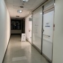 눈꽃브로우 | 영통 속눈썹 연장 잘 하는 곳 '눈꽃아이래쉬브로우' 자연스러운 연장 후기