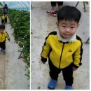 원복농장 이미지