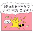 내가 애끼는 향이 좋은 인생템(향수, 핸드크림, 트리트먼트, 탈취제) 후기 폴폴 이미지