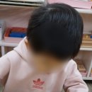 루소의숲유치원 이미지