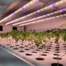 천안연암대학 | 🌱 천안 연암대학교- AI 스마트가든 설치 후기