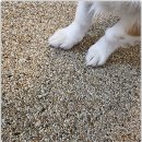 우다다댕산 이미지