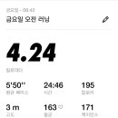 파텔라 이미지