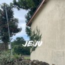 영희농장2 이미지