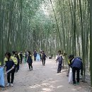 중부소방서 태화119안전센터 이미지