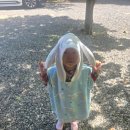 향림오토캠핑장 이미지