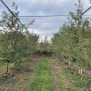 화촌면 산초울로 이미지