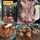 천상갈매기