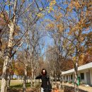 형원상사 이미지