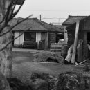 일과1리 이미지