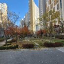 과천탑 공인중개사사무소 이미지