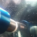 광진차유리 이미지