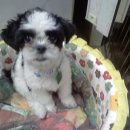 하랑하다 이미지