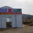 선영이네꽃과나무 이미지
