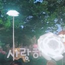 플라워디자인(야간) 이미지