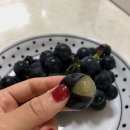 승진포도원