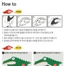 한국교구 이미지