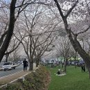 강진신발 이미지