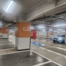 화서 다이소 이미지