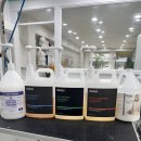 댕스타일 이미지