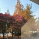 까치울역 5번 출구 이미지