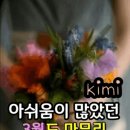 아리아리(주)