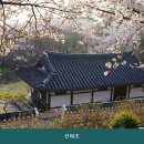고전민박 | 풍남동3가민박 산야초 분위기 좋은 한 가구 매장 메뉴 라인업