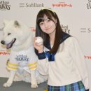 몽글몽글 이미지