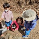 이루숲어린이집 이미지