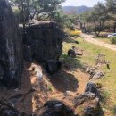 이승엽당구장 이미지