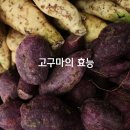 ﻿고구마의 효능 이미지