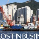 영도유통 이미지