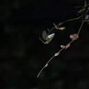 우리꽃식물원 이미지