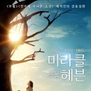 헤븐코리아 이미지