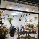 꽃담플라워 이미지