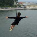 아라목장 이미지