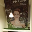 헤어자름 이미지