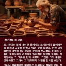 토기장이 Daum카페