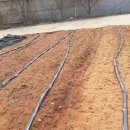 노지하우스 이미지