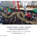 공동체의 단합을 도모하는 마을축제 영산줄다리기(靈山줄다리기) 이미지