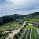 도곡별장 이미지