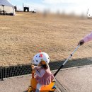 (12/20) 유아_크리스마스 꽃꽂이 | 마이크로 미니 투고 아기킥보드 헬멧 크리스마스 선물 3IN1킥보드 후기