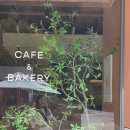 씨드(SEED) | 화담숲 카페 씨드그린(seed green)🌿 내돈내산 방문 후기 / 경기도 광주 느좋 카페 / 곤지암 느좋 카페