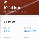 10/24 (목) 전주천 산책로에서 10Km 달리기 [사평교~금성장례식장 왕복] 이미지