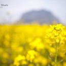 구일우성아파트(1) 이미지