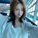 윌링 Daum카페