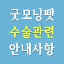 펫토이동물병원 이미지