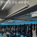 화이트짐 반송 북광장점 | 반송동헬스장 화이트짐 반송 북광장점 이벤트 후기 추천