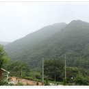 솔향기 힐링 하우스 이미지