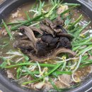 능이버섯 초계탕 | 광진구맛집 능이마을 자양점 여름 몸보신 능이버섯 오리백숙 후기 (주차, 예약, 가족외식)